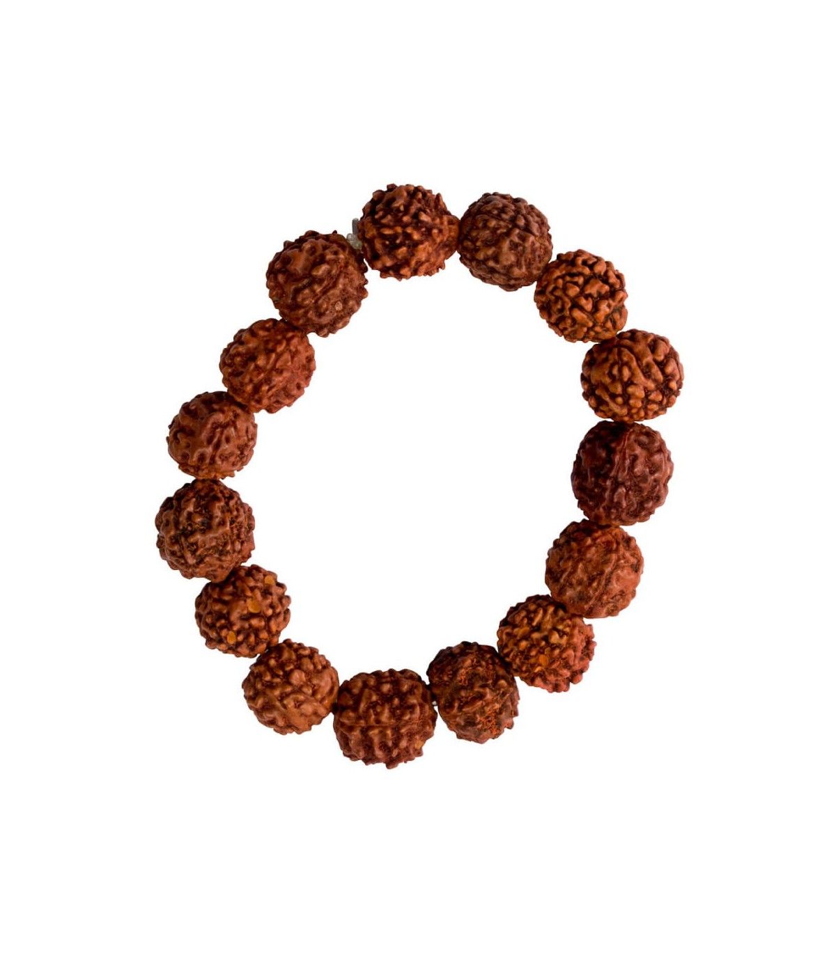 Pulsera Semillas Rudraksha Tienda Hippie